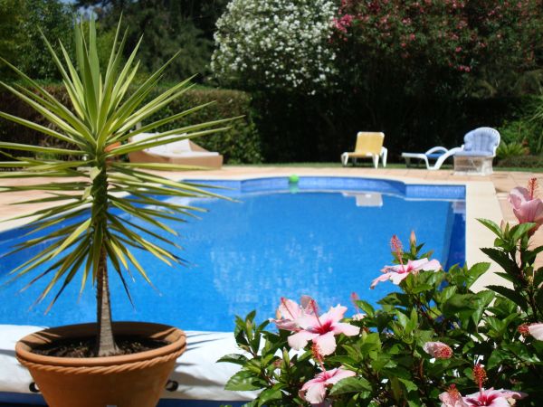 Cost of Pool Terrace Renovation in Gig Harbor